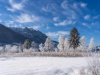 Zauberhafte Winterlandschaft mit Raureif auf den Bäumen